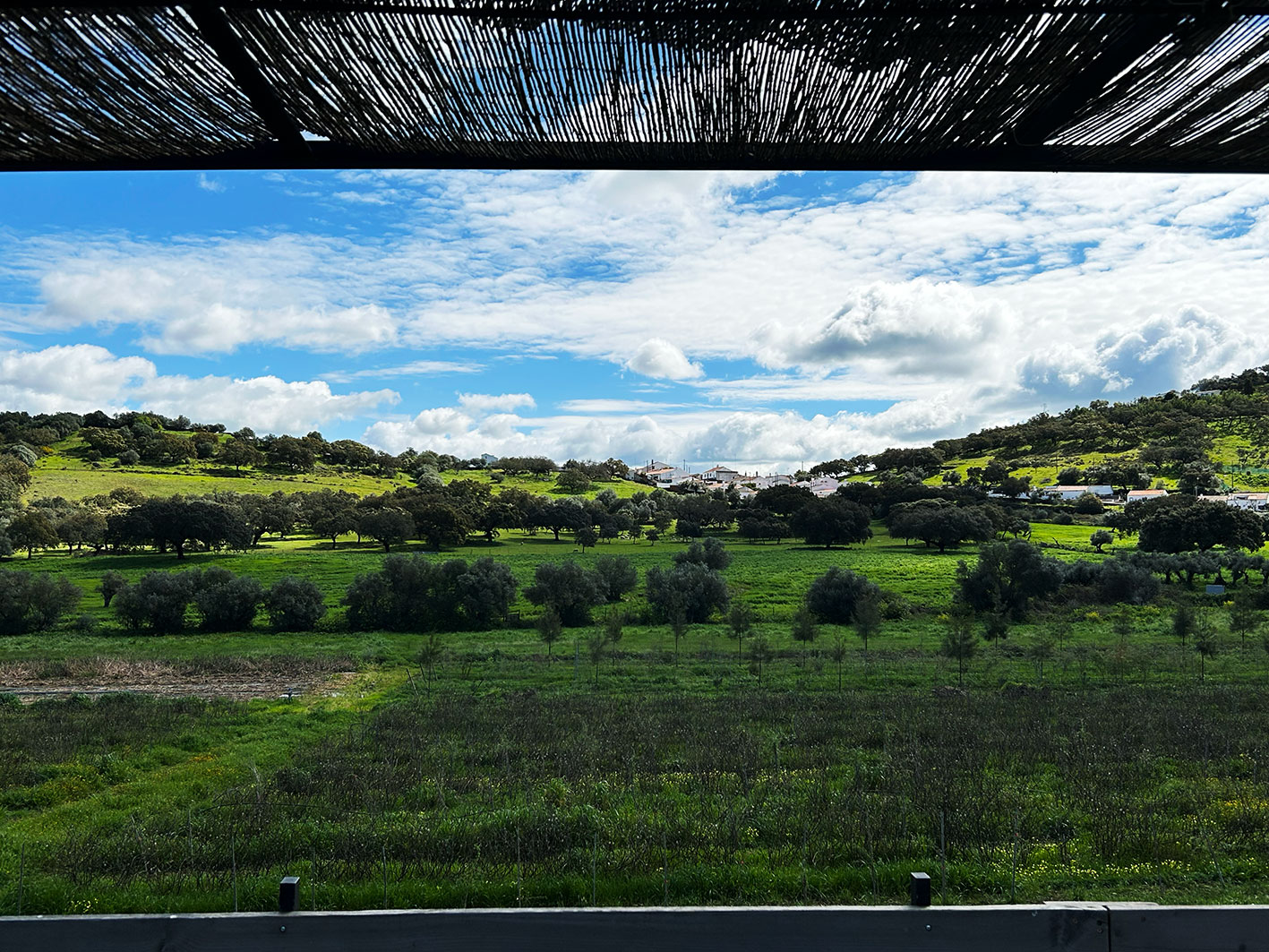 Viva-paisagem