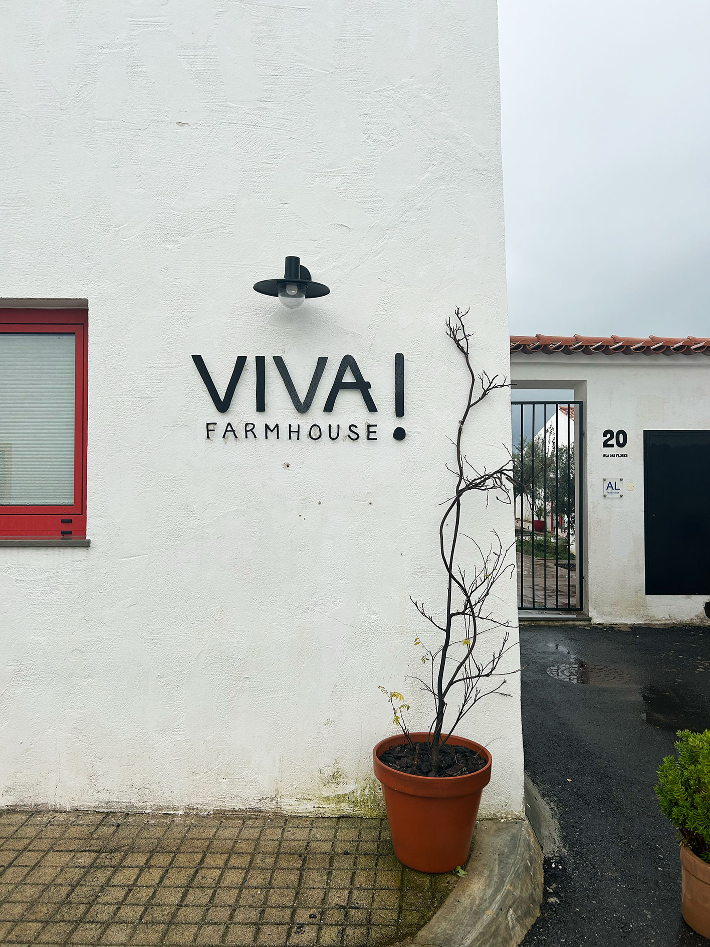 Viva-sinal8