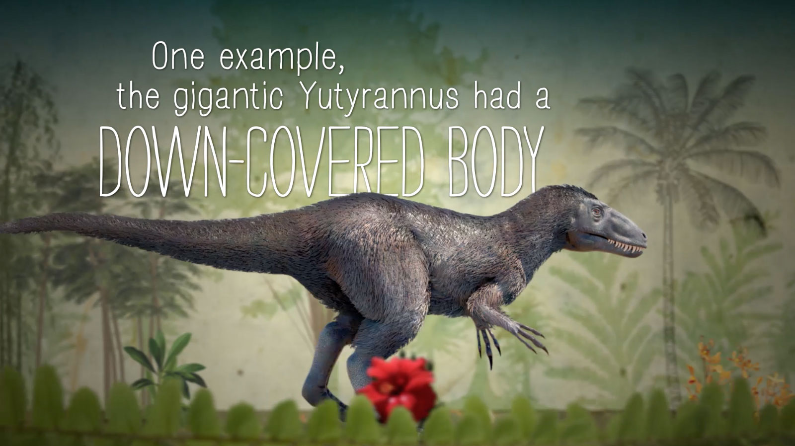 Frost15